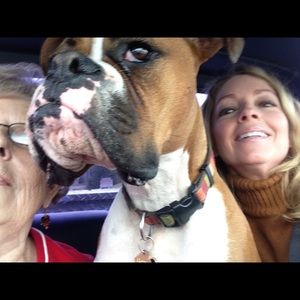 Meet your Posher, Julia